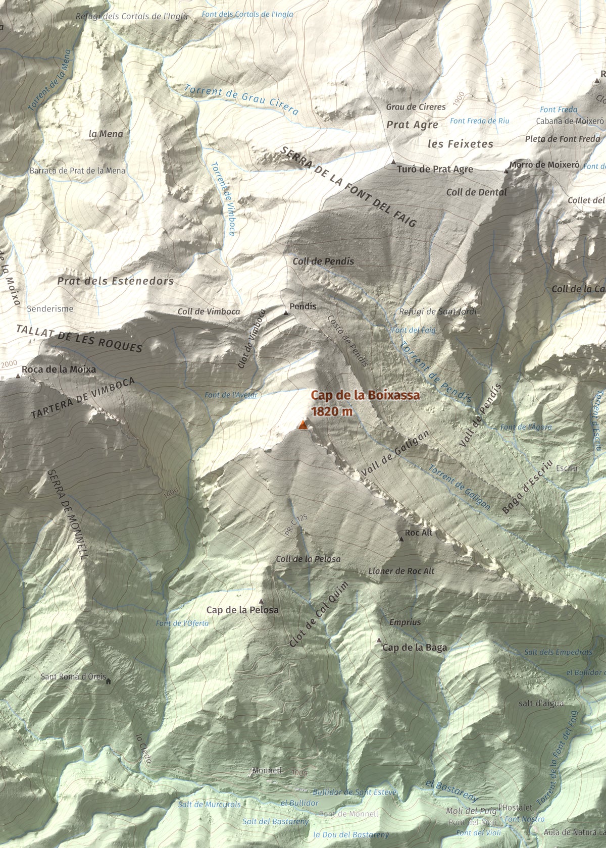 Mapa topográfico del relieve: Cap de la Boixassa, 1820 m. Detalle de la zona central. 50 × 70 cm.