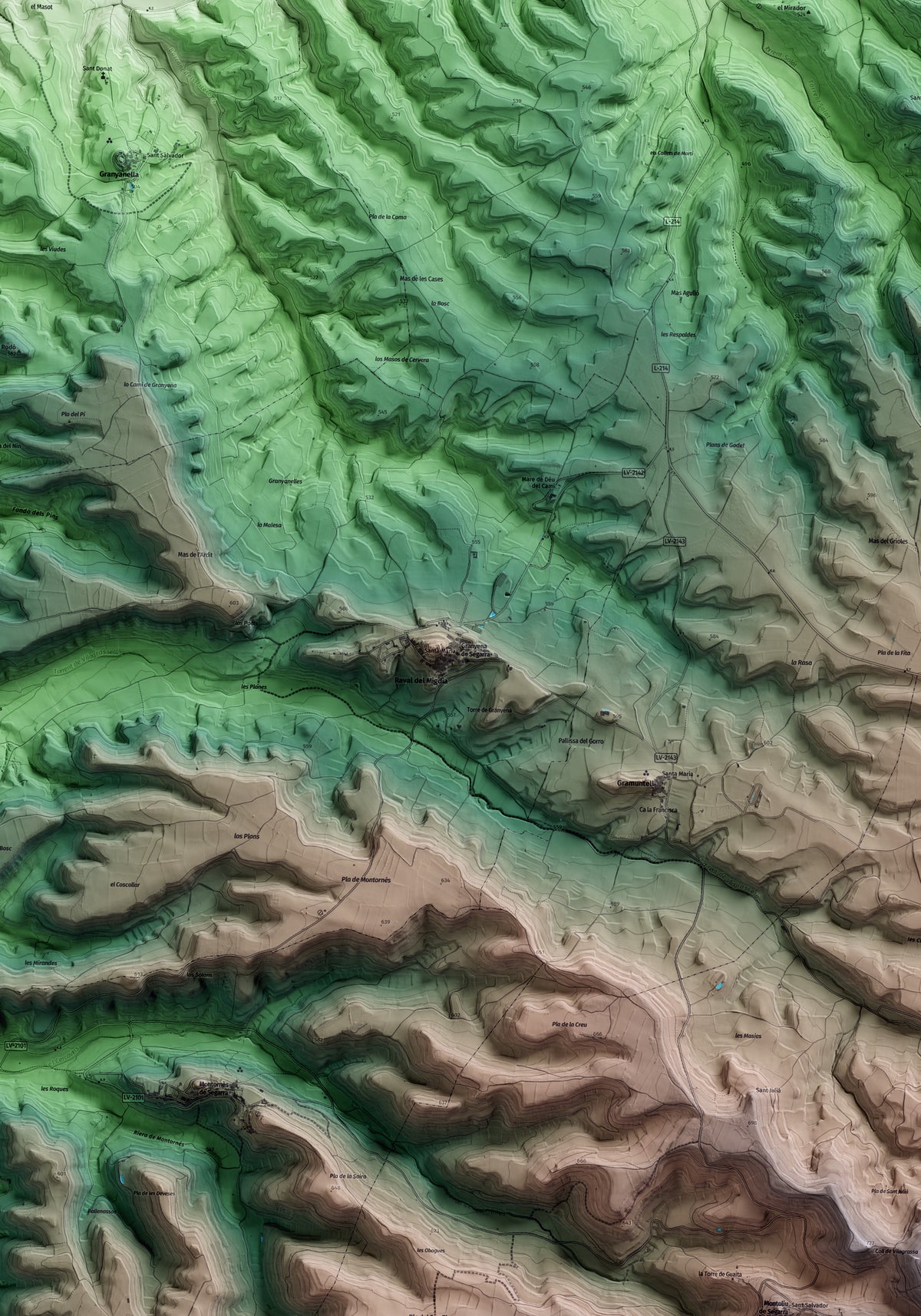 Mapa artístico del relieve de Granyena de Segarra, a la Segarra, con 15 km de entorno y base topográfica ICGC. Detalle de la zona central.