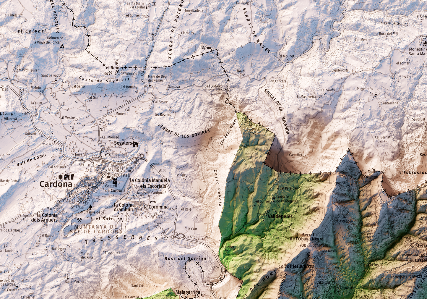 NAVÀS. Mapa topográfico.