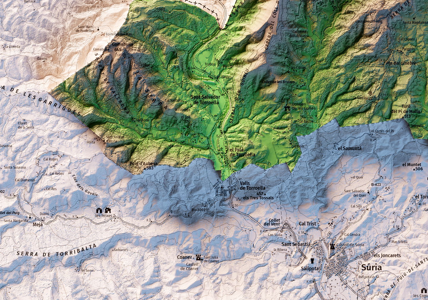 NAVÀS. Mapa topográfico.