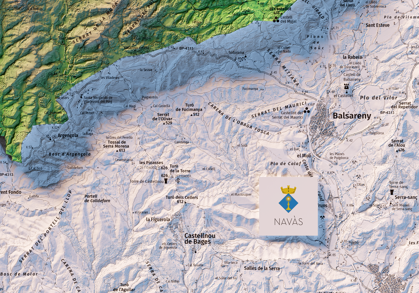NAVÀS. Mapa topográfico.