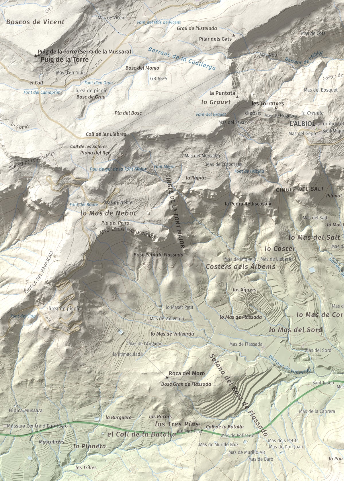 Mapa topogràfic del relleu: Puig d'en Cama, 717 m. Detall de la zona superior esquerra. 50 × 70 cm.
