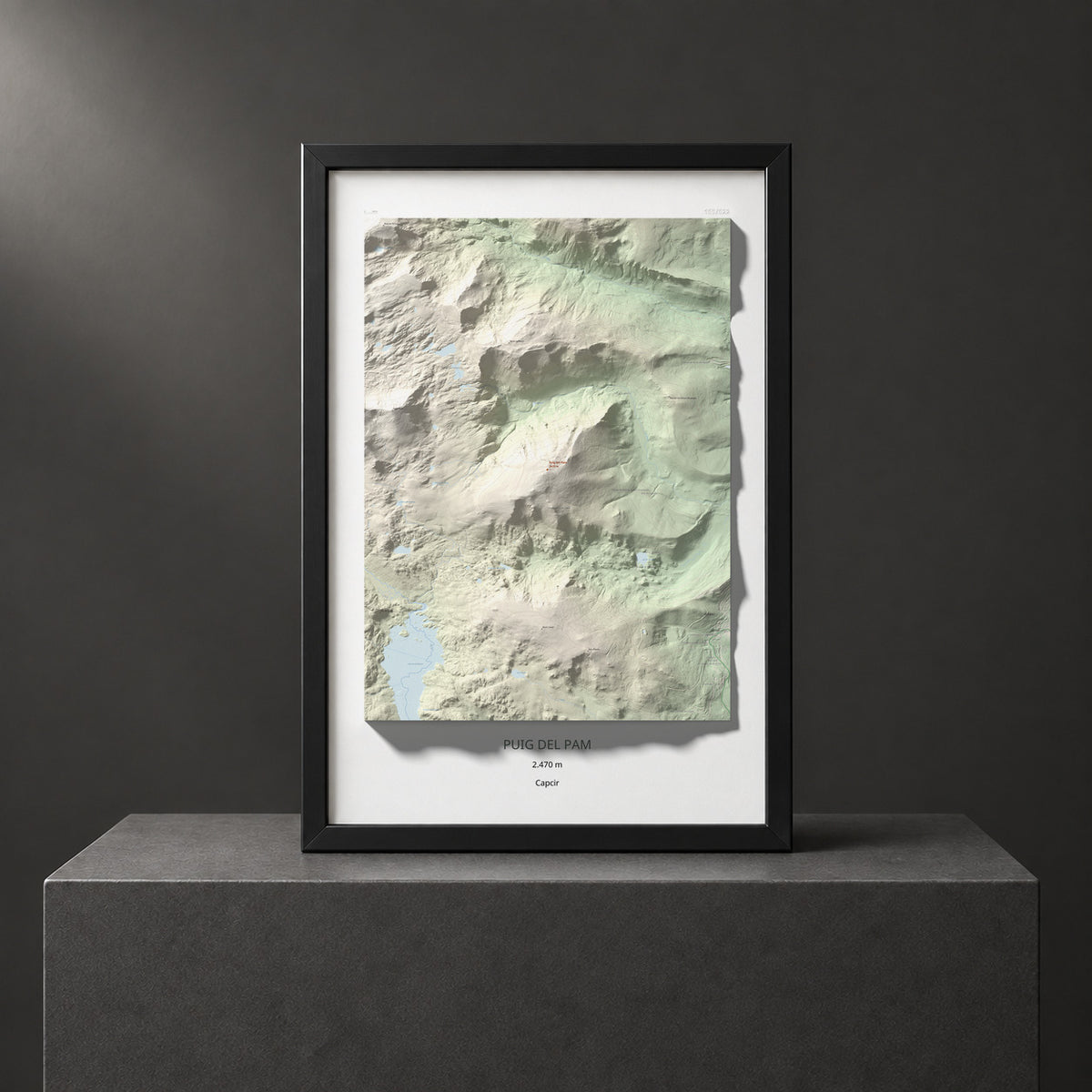 Mapa topogràfic del relleu: Puig del Pam, 2470 m. Presentació emmarcada. 61 × 91 cm.