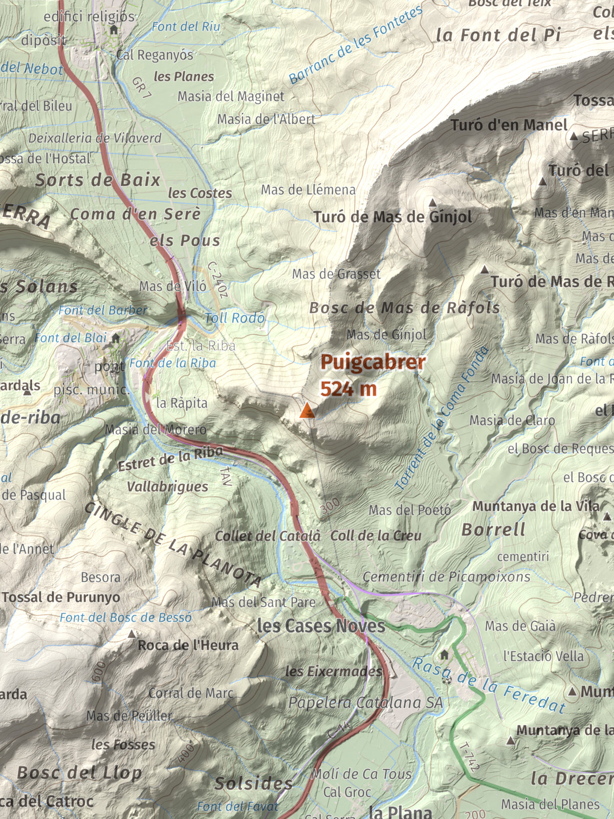 Mapa topográfico del relieve: Puigcabrer, 524 m. Detalle de la zona central. 30 × 40 cm.