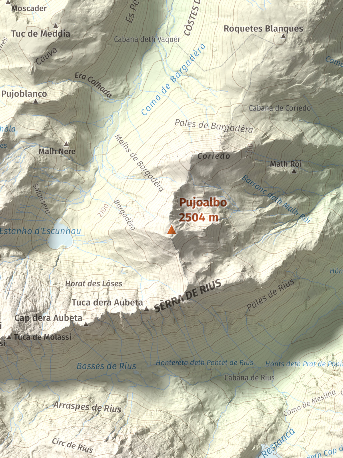 Mapa topográfico del relieve: Pujoalbo, 2504 m. Detalle de la zona central. 30 × 40 cm.