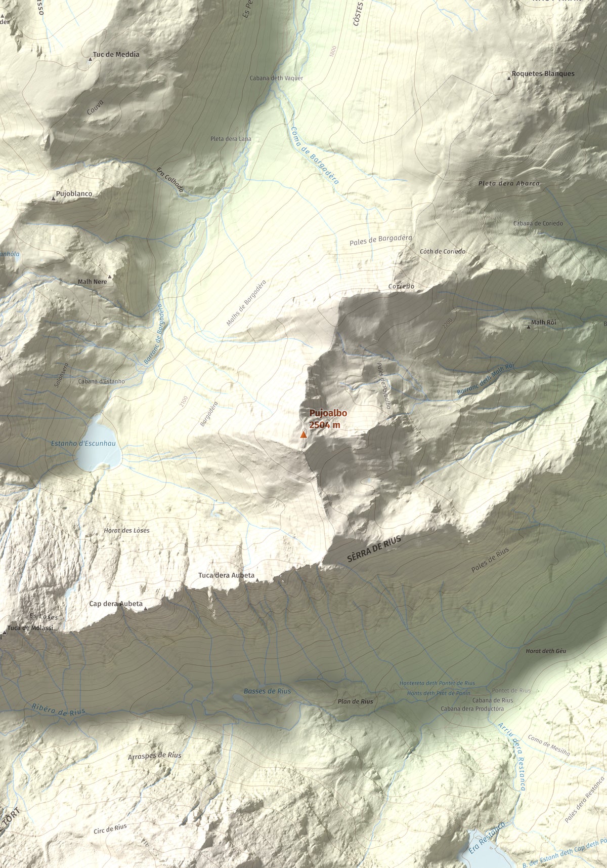 Mapa topográfico del relieve: Pujoalbo, 2504 m. Detalle de la zona central. 70 × 100 cm.
