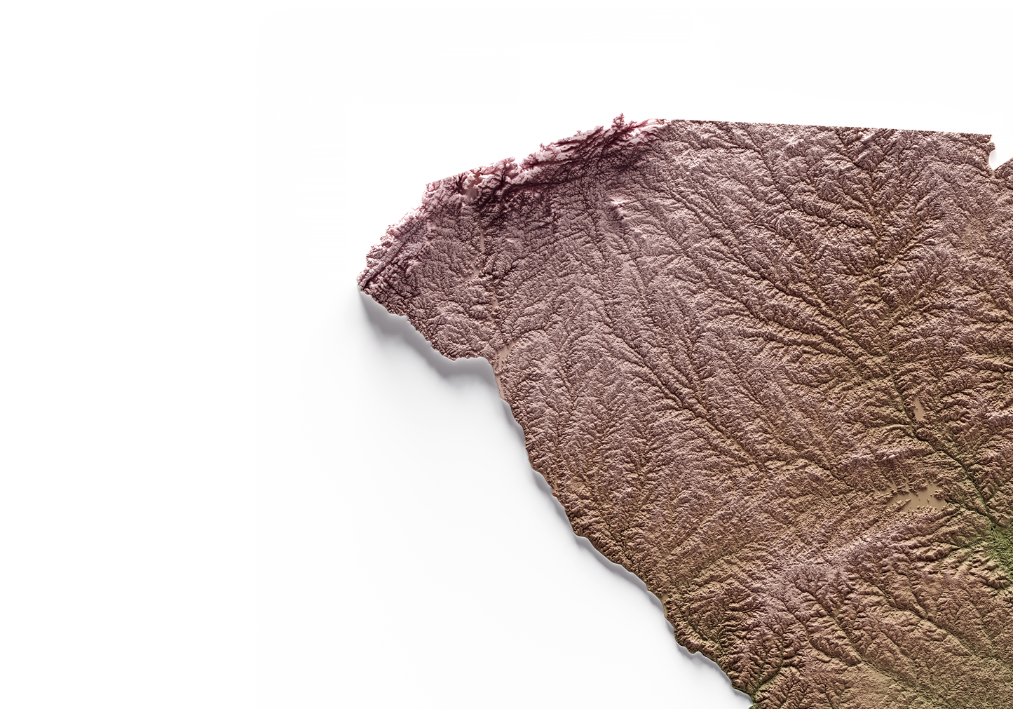 CAROLINA DEL SUR. Mapa de relieve clásico.