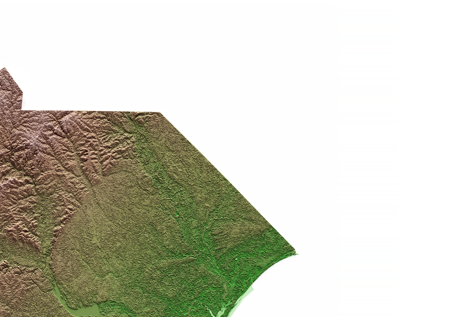 CAROLINA DEL SUR. Mapa de relieve clásico.