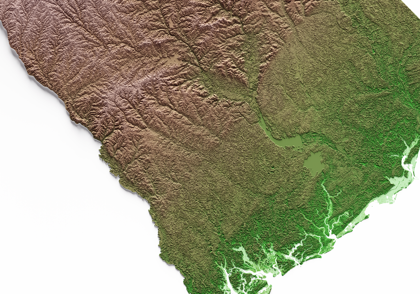 CAROLINA DEL SUR. Mapa de relieve clásico.
