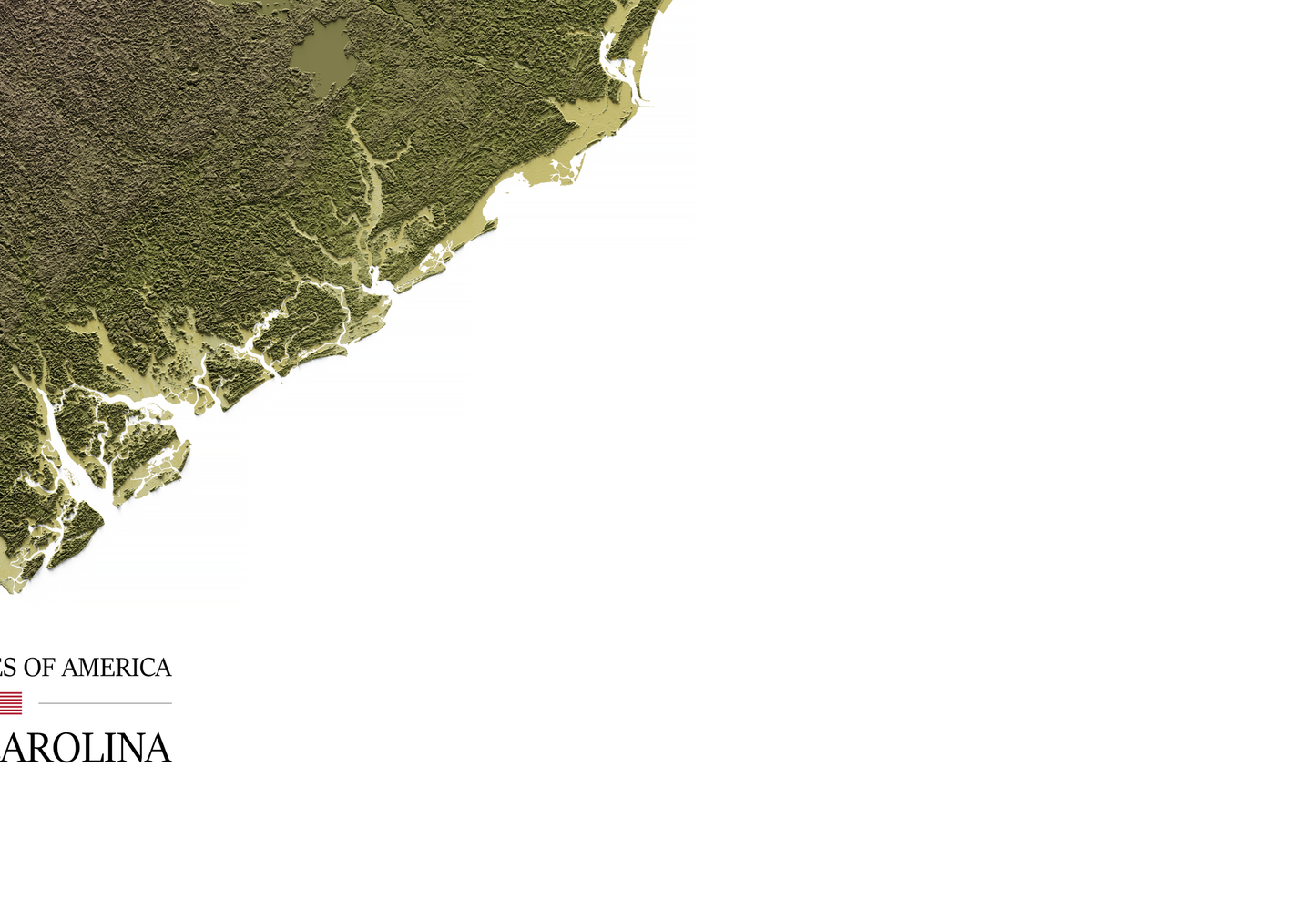 CAROLINA DEL SUR. Mapa de relieve en colores terrosos.
