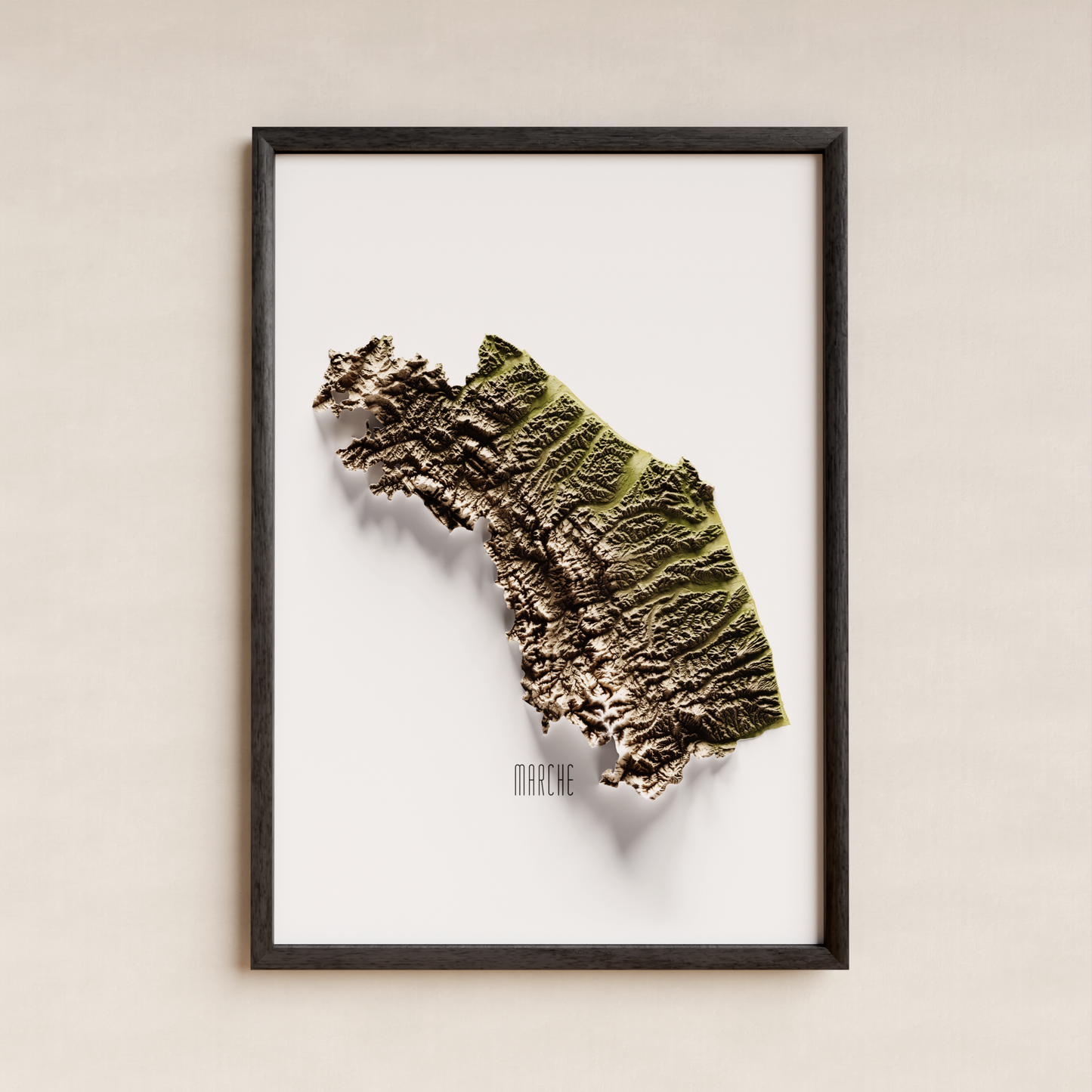 MARCHE. Mapa de relieve en colores terrosos.