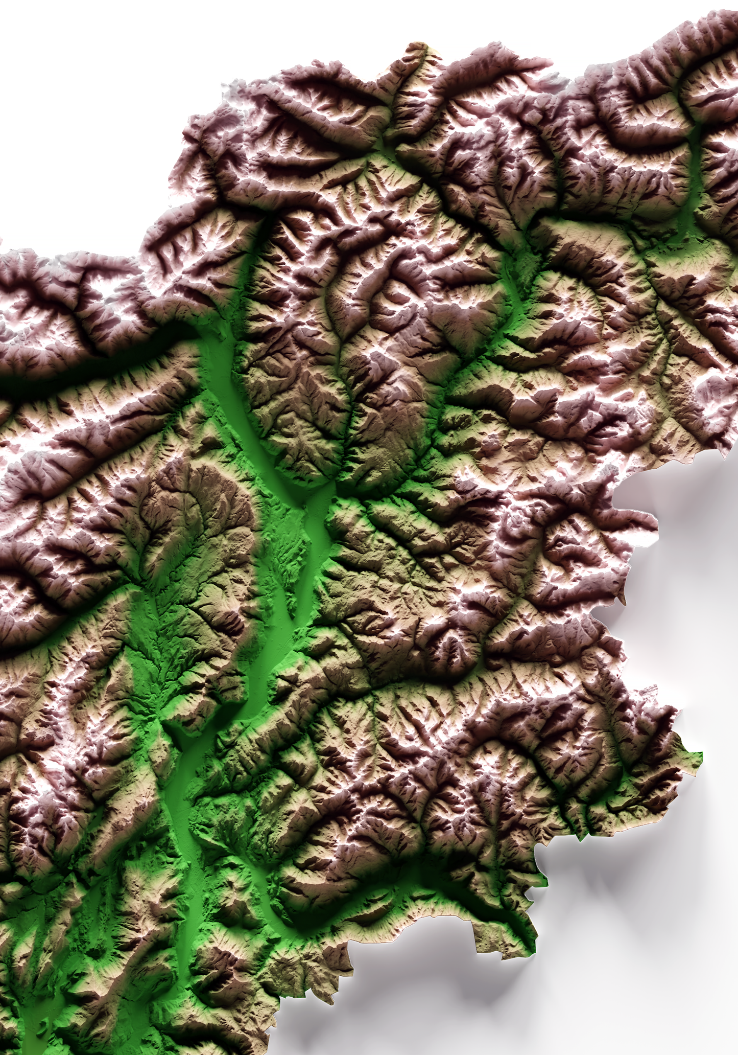 TRENTINO-ALTO ADIGIO. Mapa de relieve clásico.