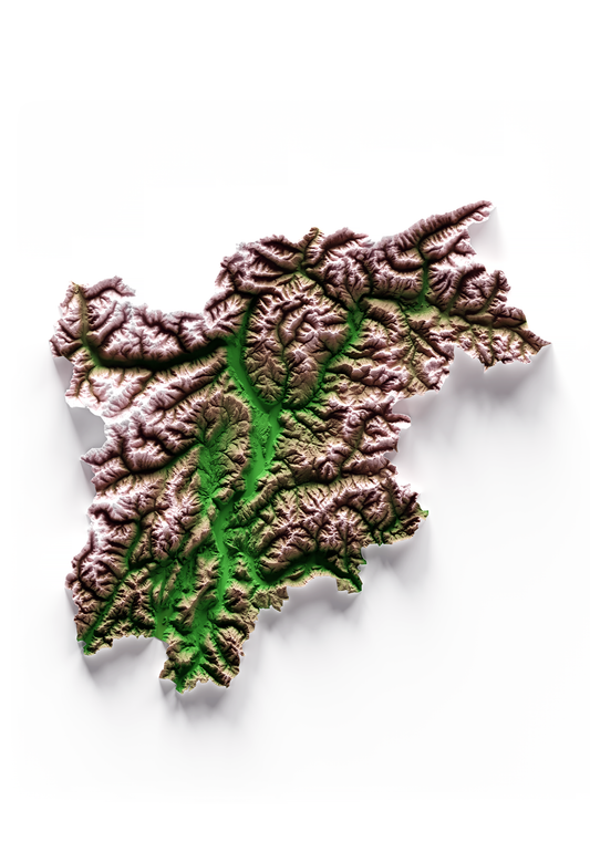 TRENTINO-ALTO ADIGIO. Mapa de relieve clásico.