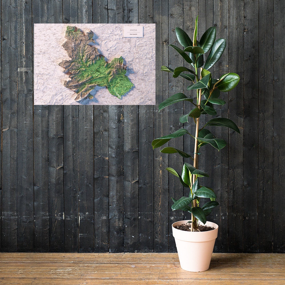 L'ANOIA. Mapa topográfico.