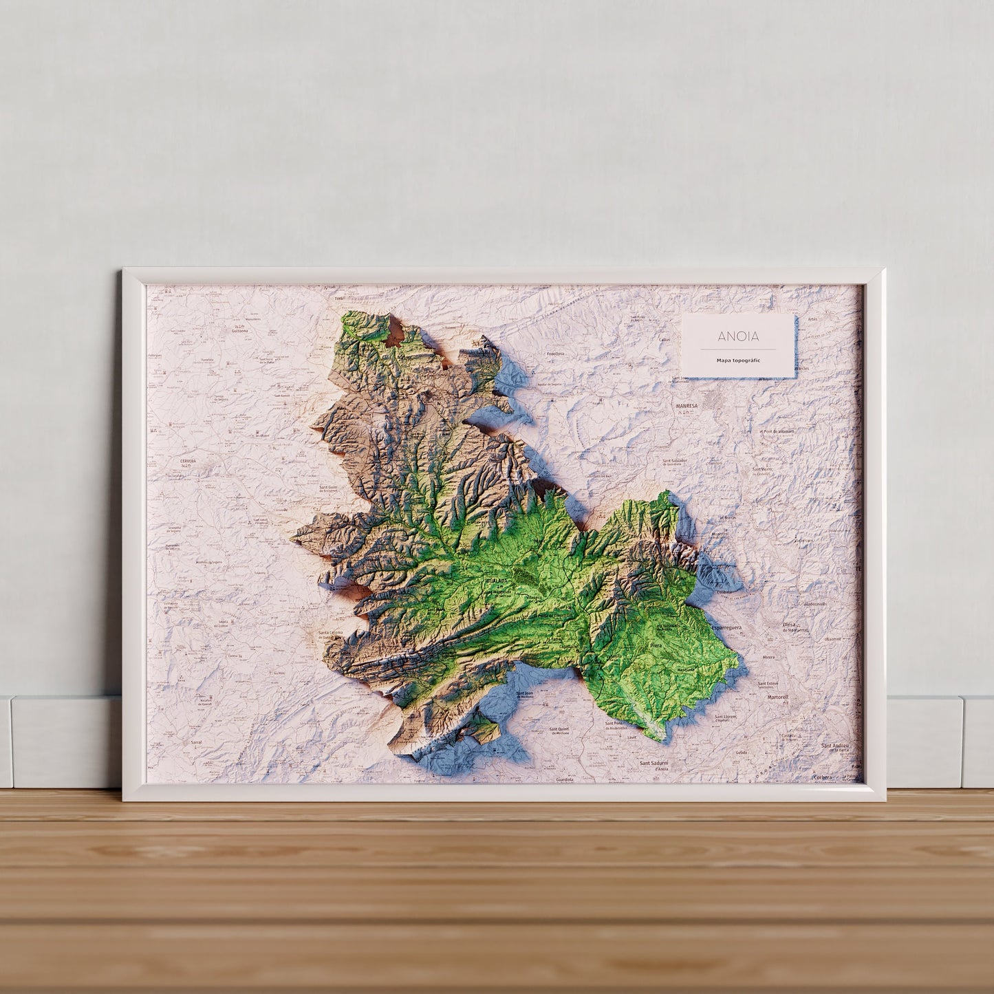 L'ANOIA. Mapa topográfico.