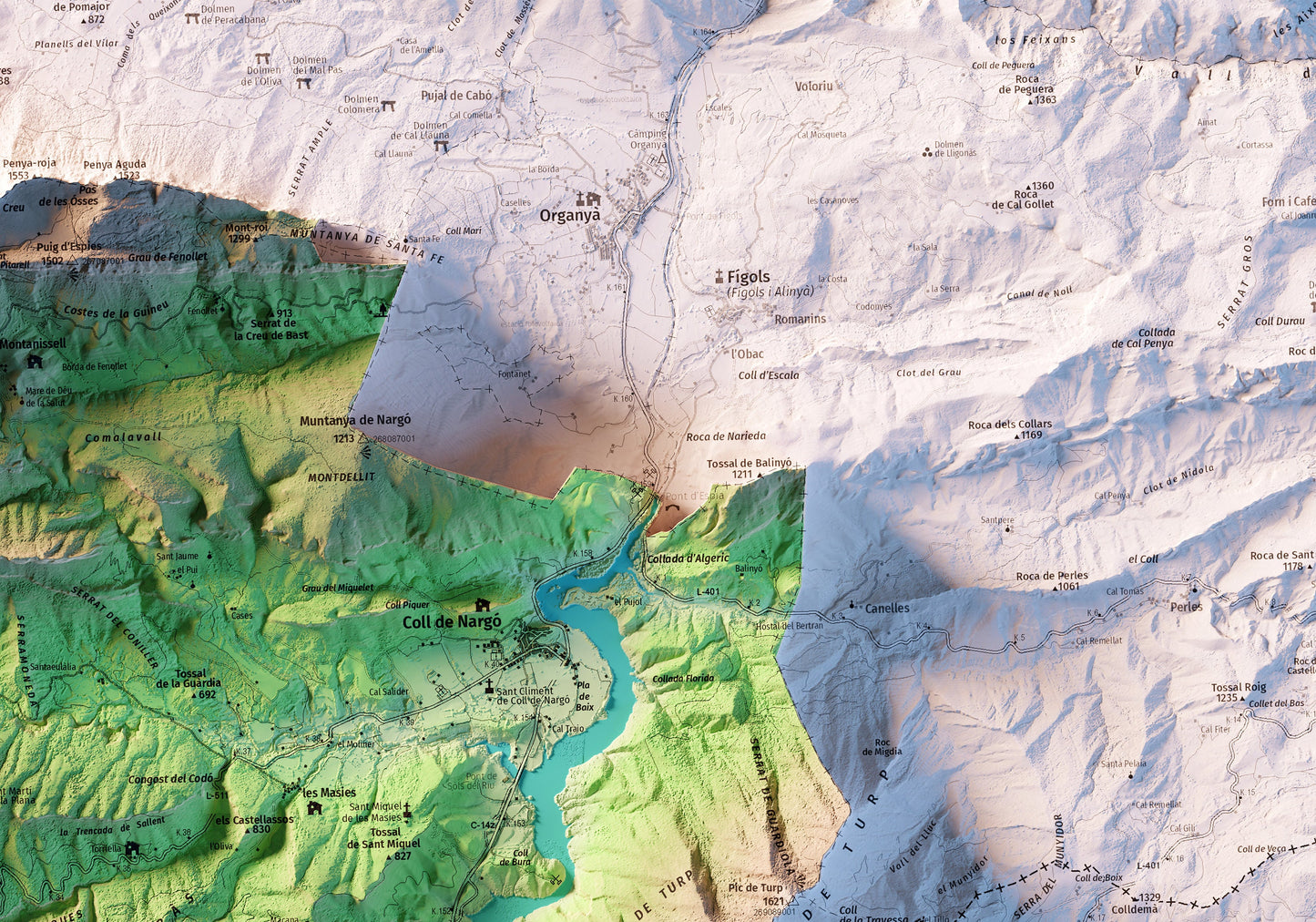 COLL DE NARGÓ. Mapa topográfico.