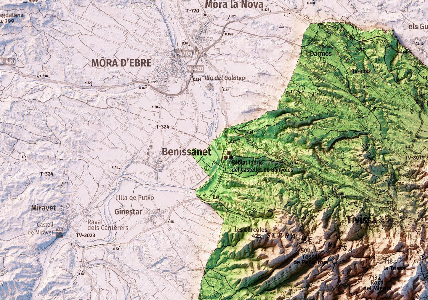 TIVISSA. Mapa topográfico.
