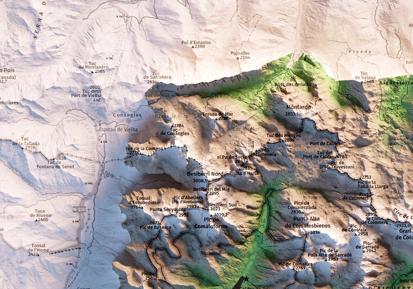 PARC NACIONAL D'AIGÜESTORTES I ESTANY DE SANT MAURICI. Mapa topográfico.