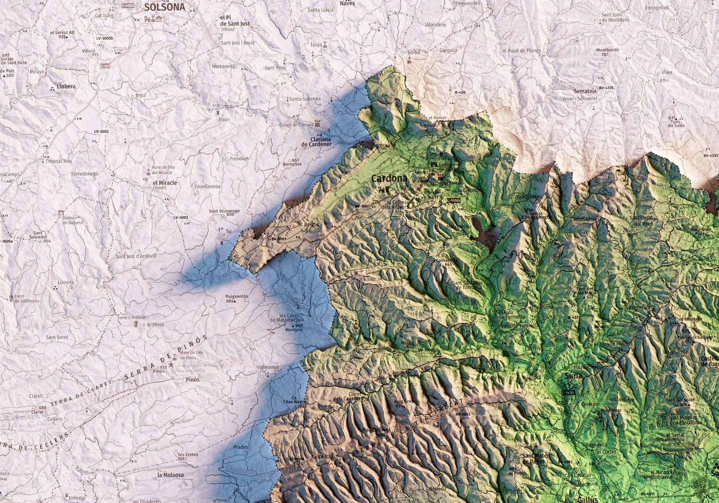 DO PLA DE BAGES. Mapa topográfico.