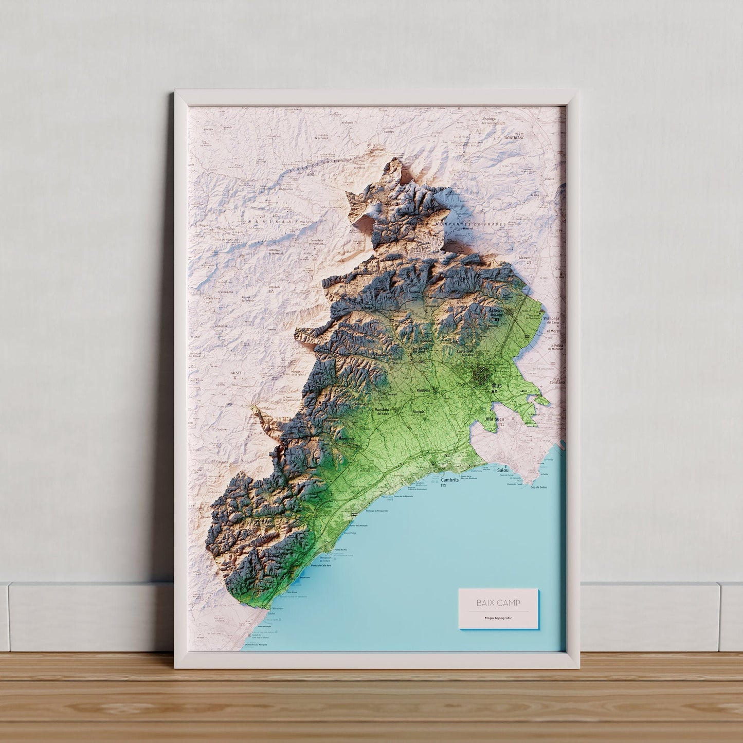 EL BAIX CAMP. Mapa topográfico.