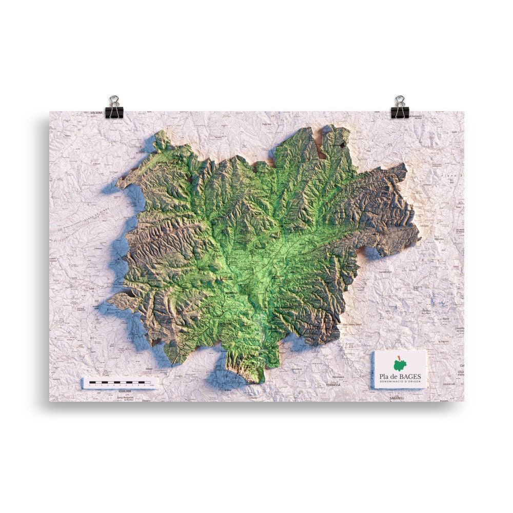 DO PLA DE BAGES. Mapa topográfico.