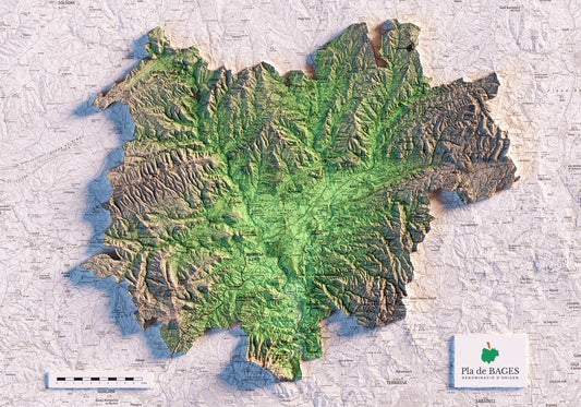 DO PLA DE BAGES. Mapa topográfico.