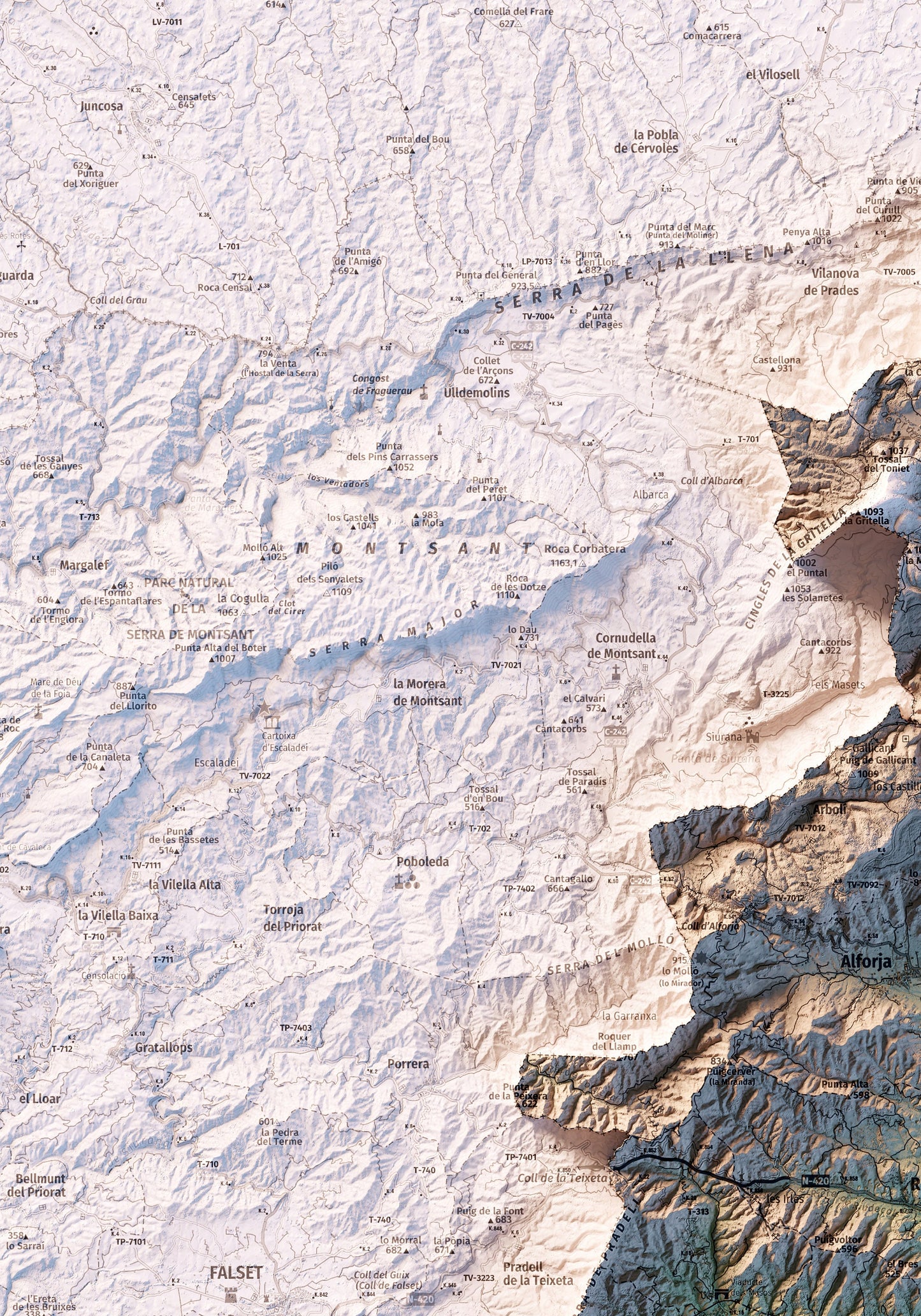 EL BAIX CAMP. Mapa topográfico.