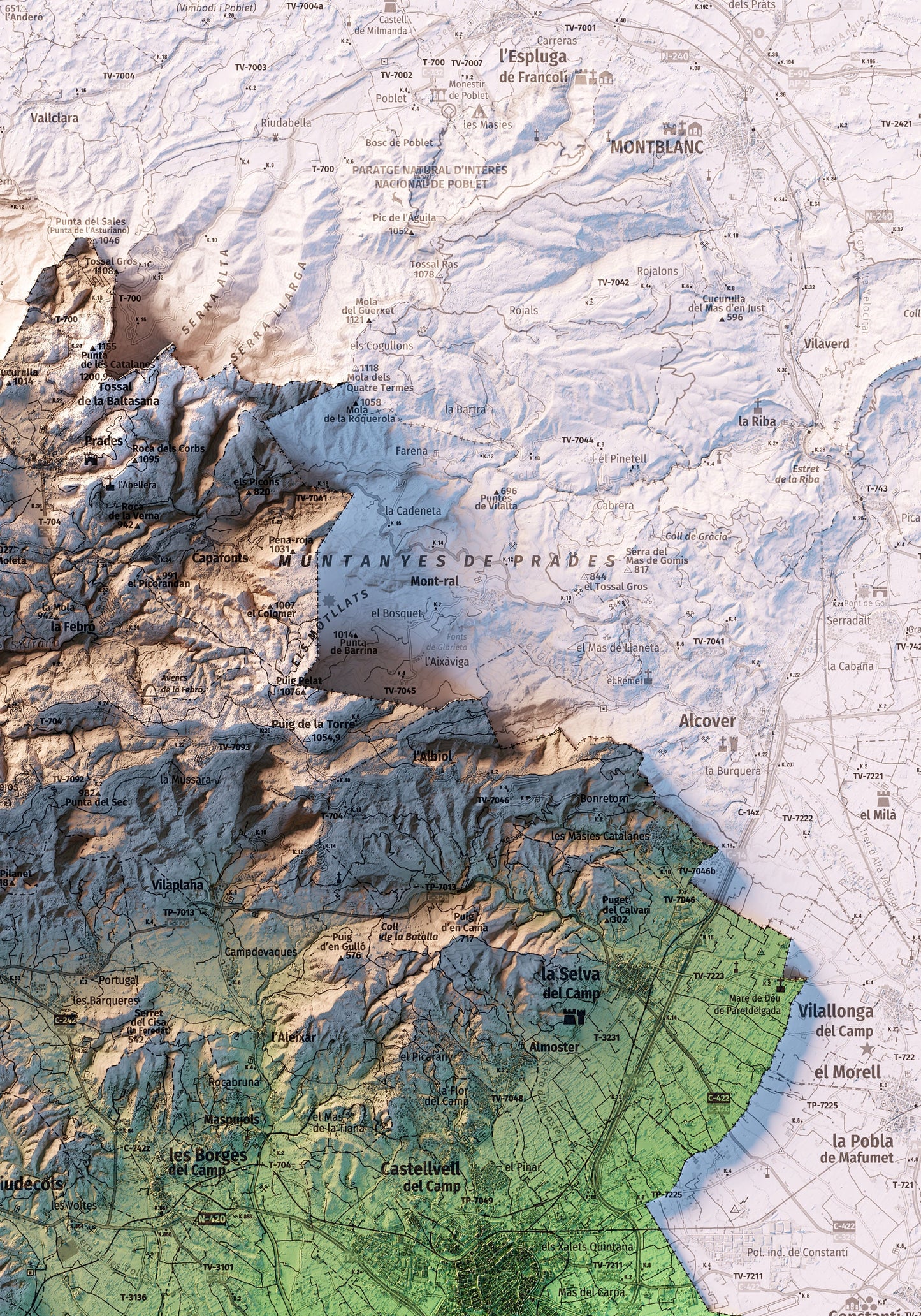 EL BAIX CAMP. Mapa topográfico.