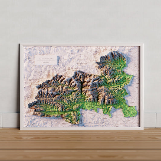 L'ALTA GARROTXA. Mapa topográfico.