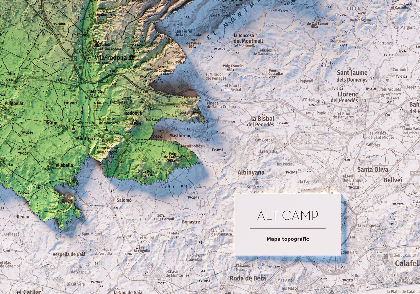 L'ALT CAMP. Mapa topográfico.