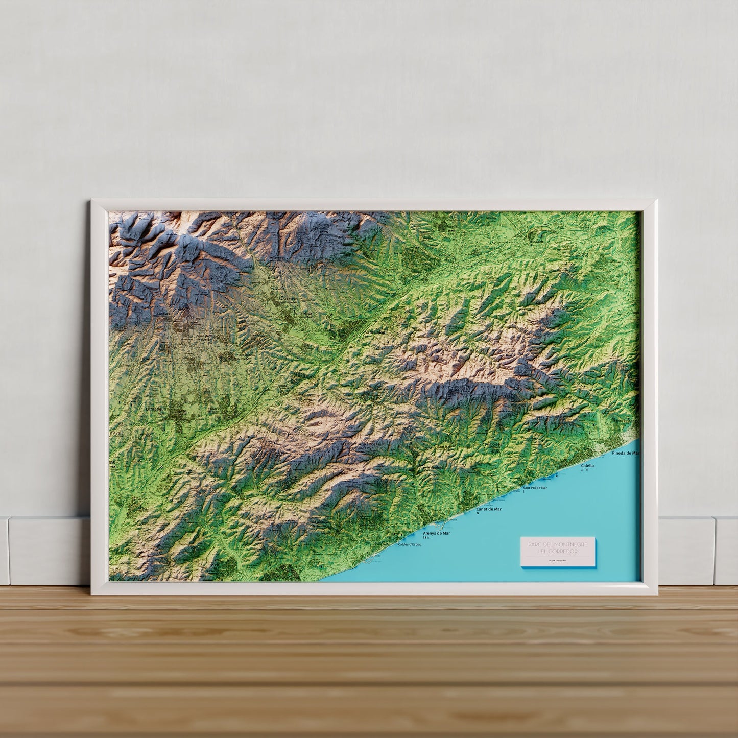 PARC DEL MONTNEGRE I EL CORREDOR. Mapa topográfico.