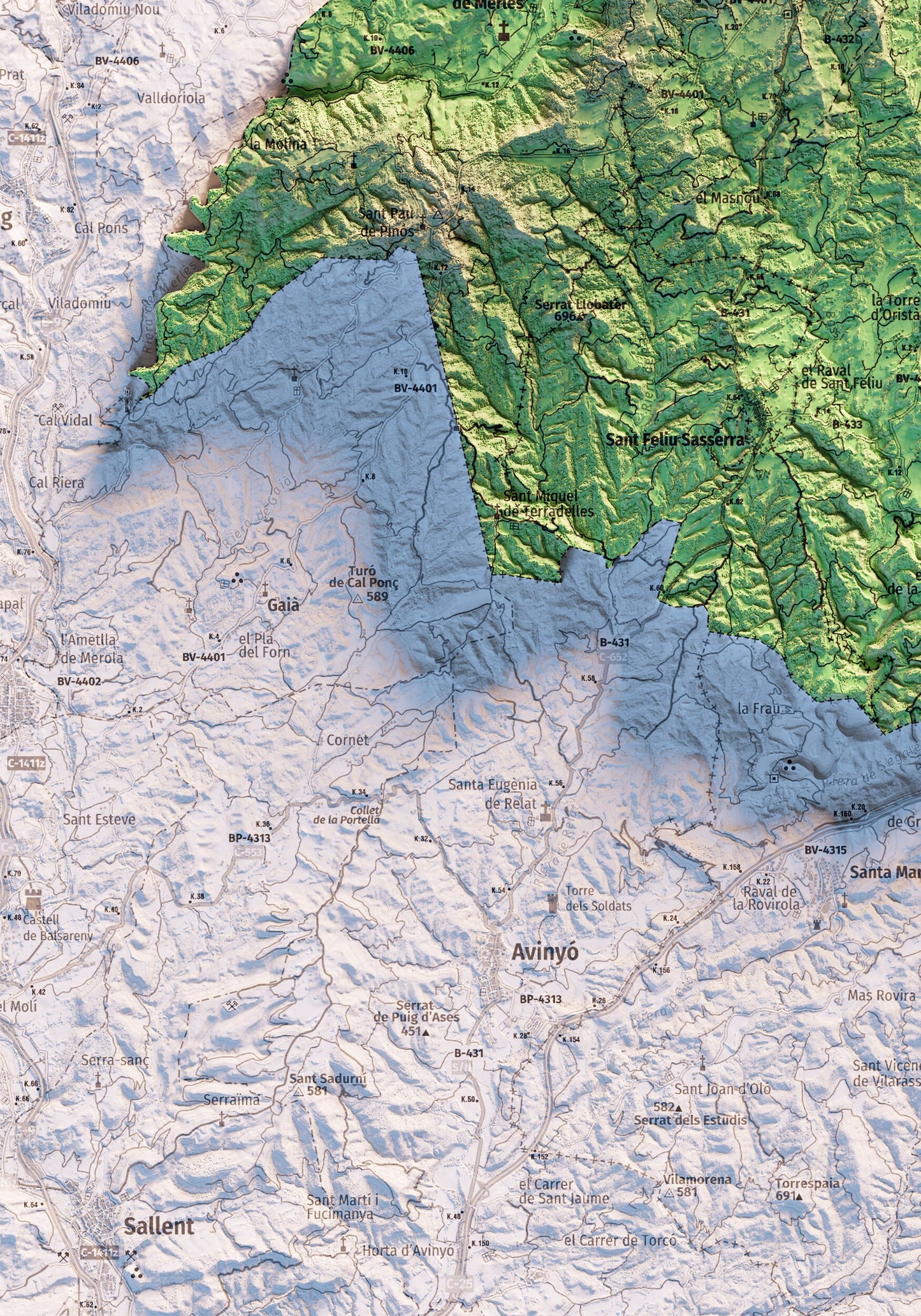 EL LLUÇANÈS. Mapa topográfico.