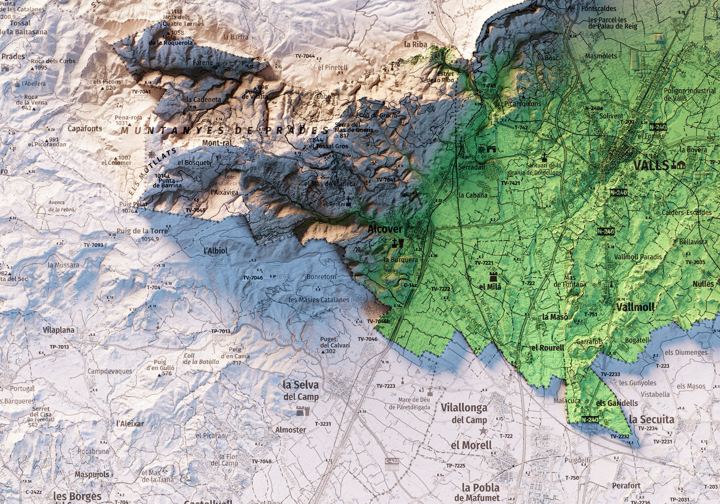 L'ALT CAMP. Mapa topográfico.