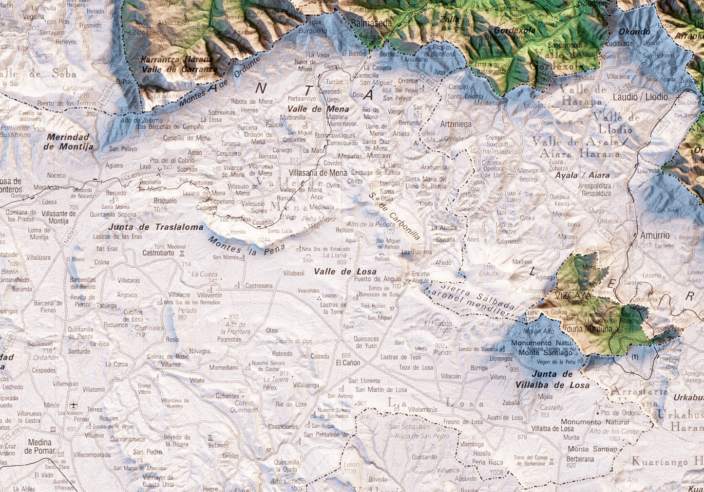 BIZKAIA. Mapa topográfico.