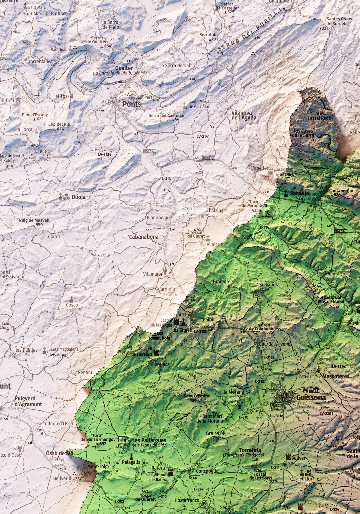 LA SEGARRA. Mapa topográfico.