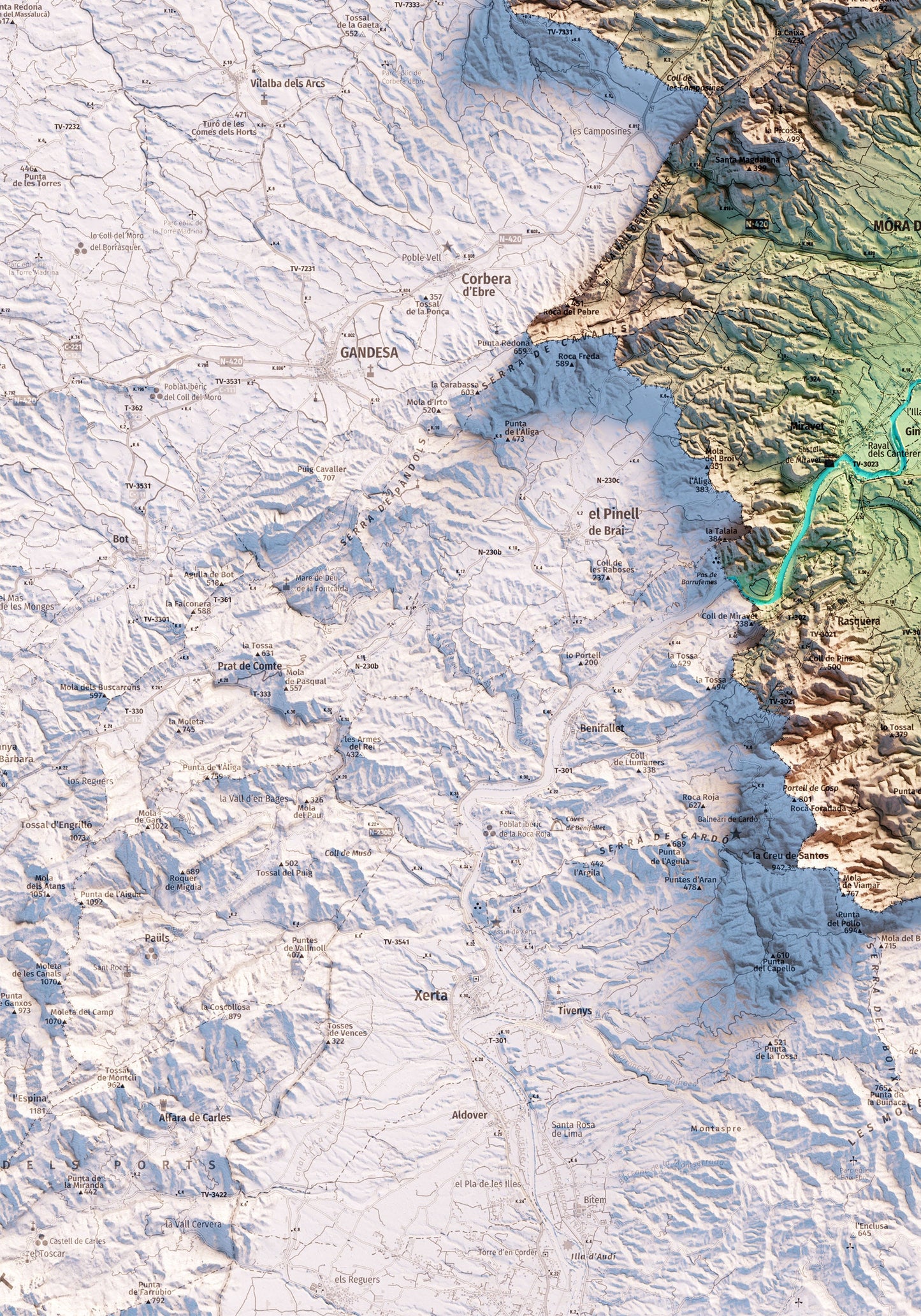 RIBERA D'EBRE. Mapa topográfico.