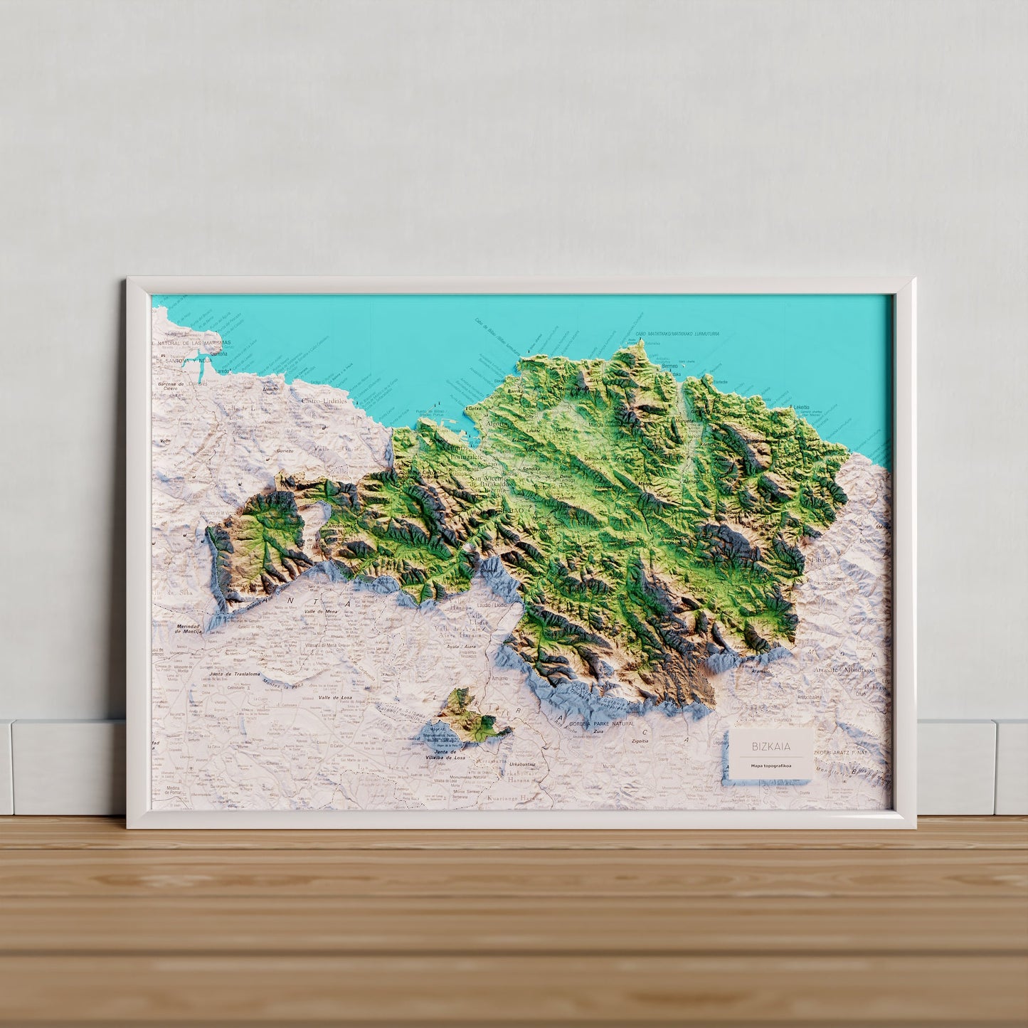 BIZKAIA. Mapa topográfico.