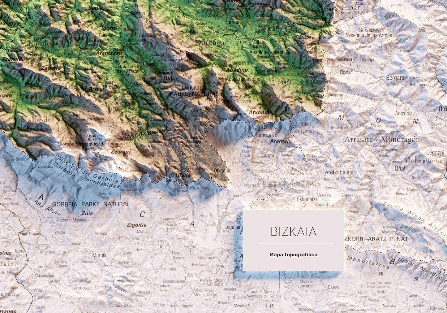 BIZKAIA. Mapa topográfico.