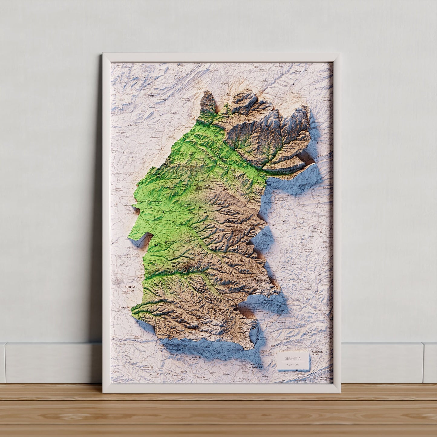 LA SEGARRA. Mapa topográfico.