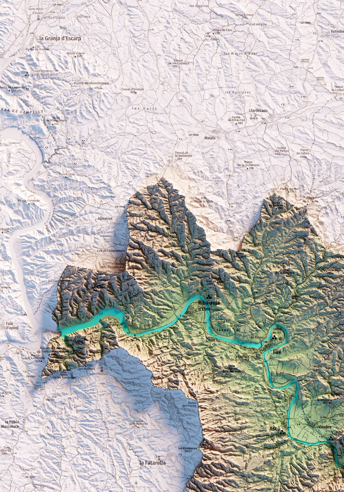 RIBERA D'EBRE. Mapa topográfico.