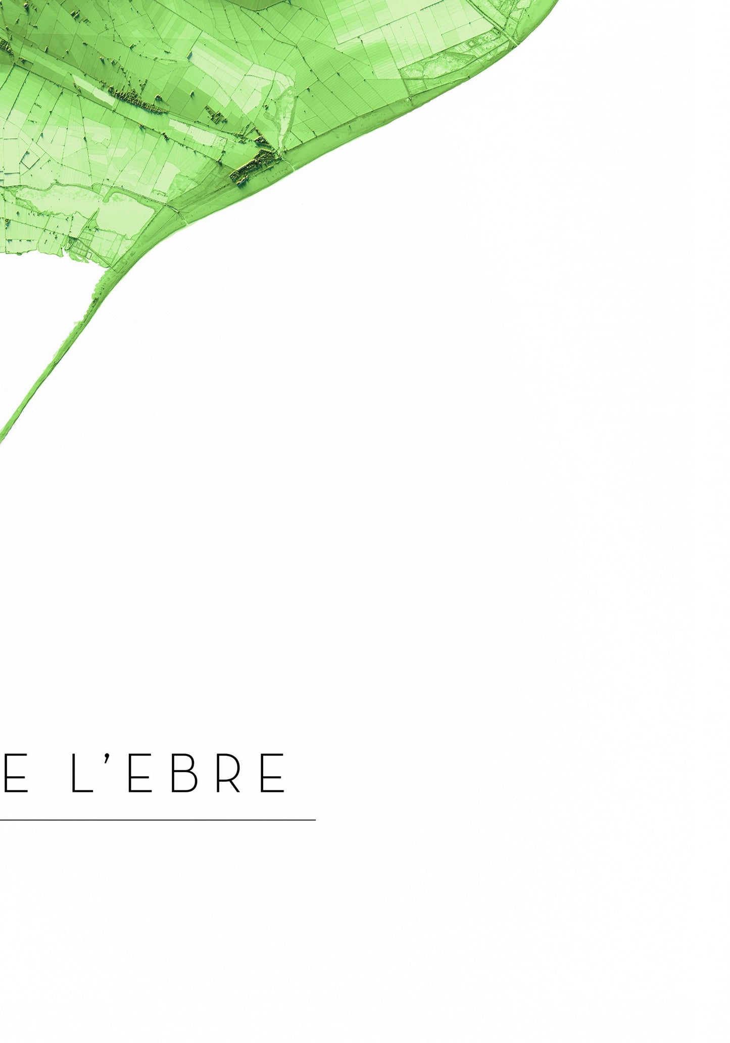 DELTA DE L'EBRE. Mapa de relleu.