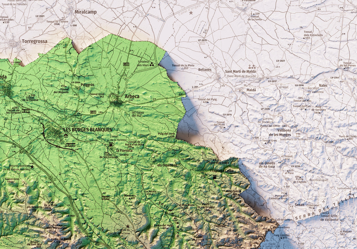 LES GARRIGUES. Mapa topográfico.