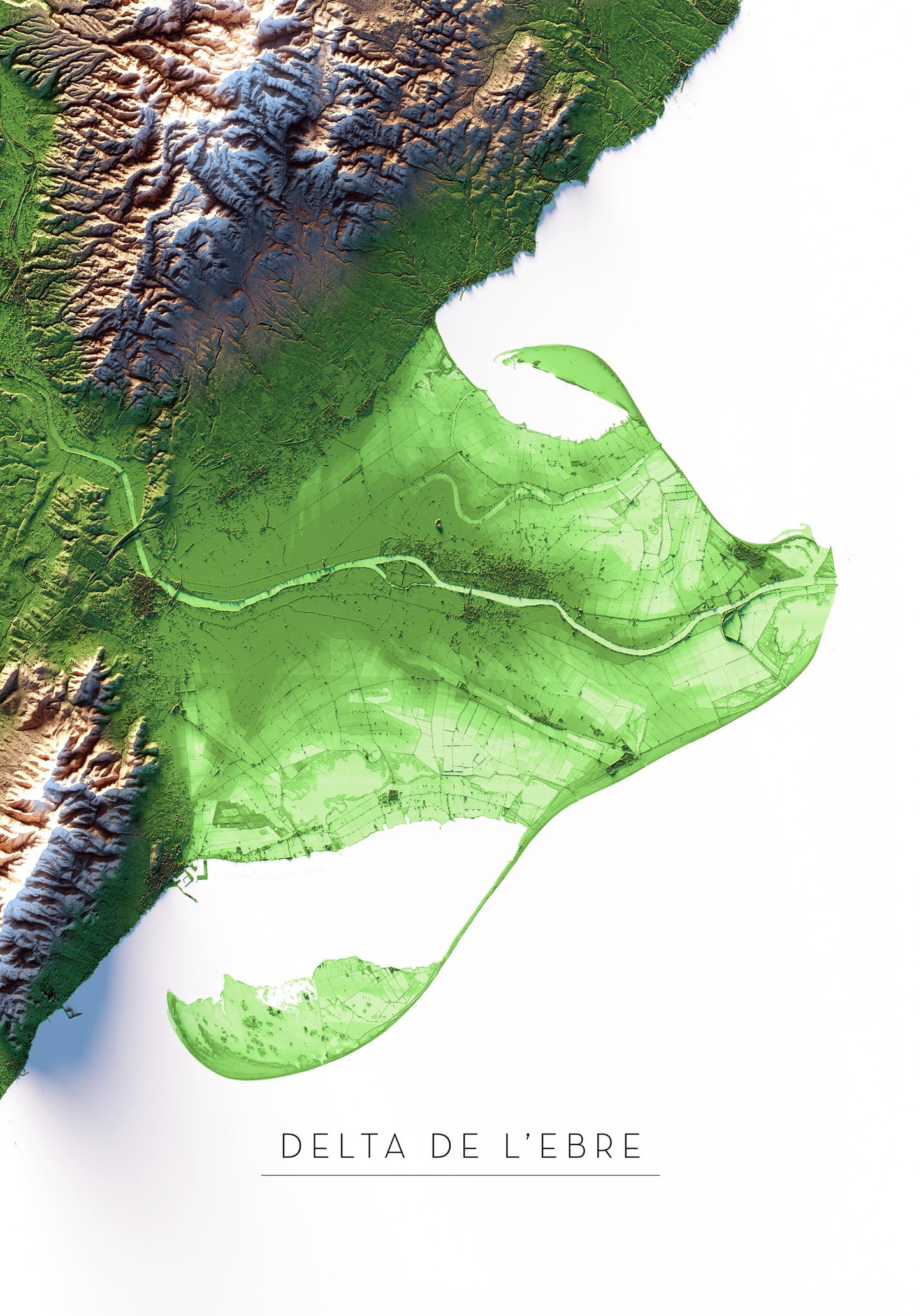 DELTA DE L'EBRE. Mapa de relleu.