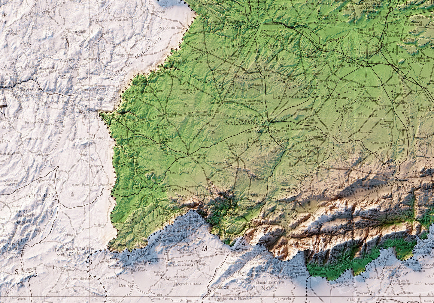 CASTILLA Y LEÓN. Mapa topográfico.