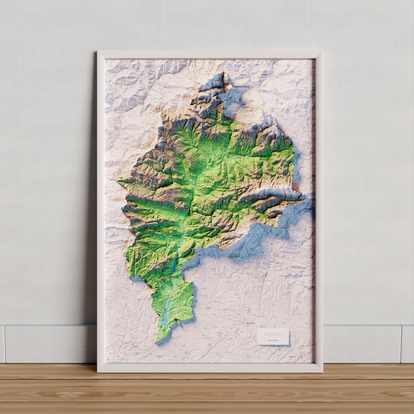 ALT URGELL. Mapa topográfico.