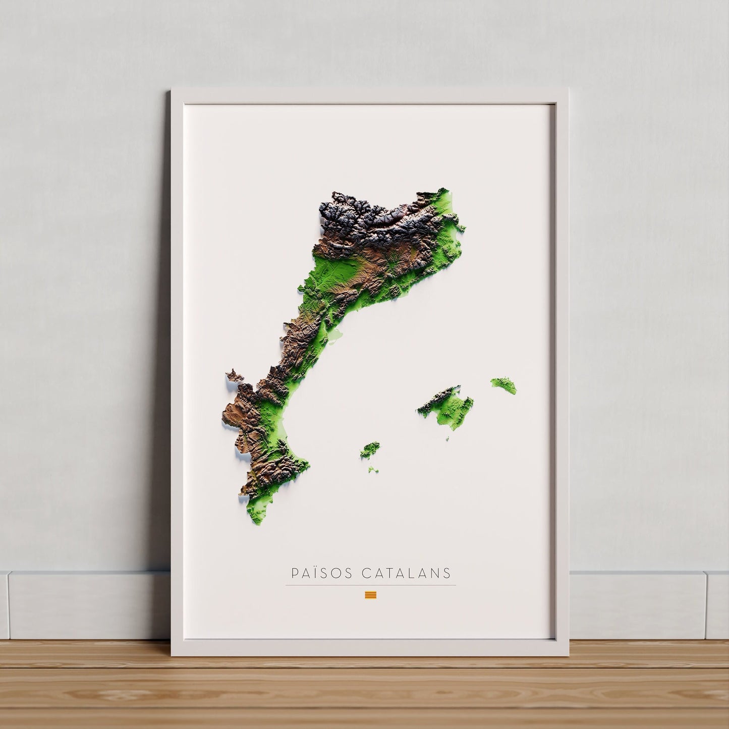 PAÏSOS CATALANS. Mapa de relleu.