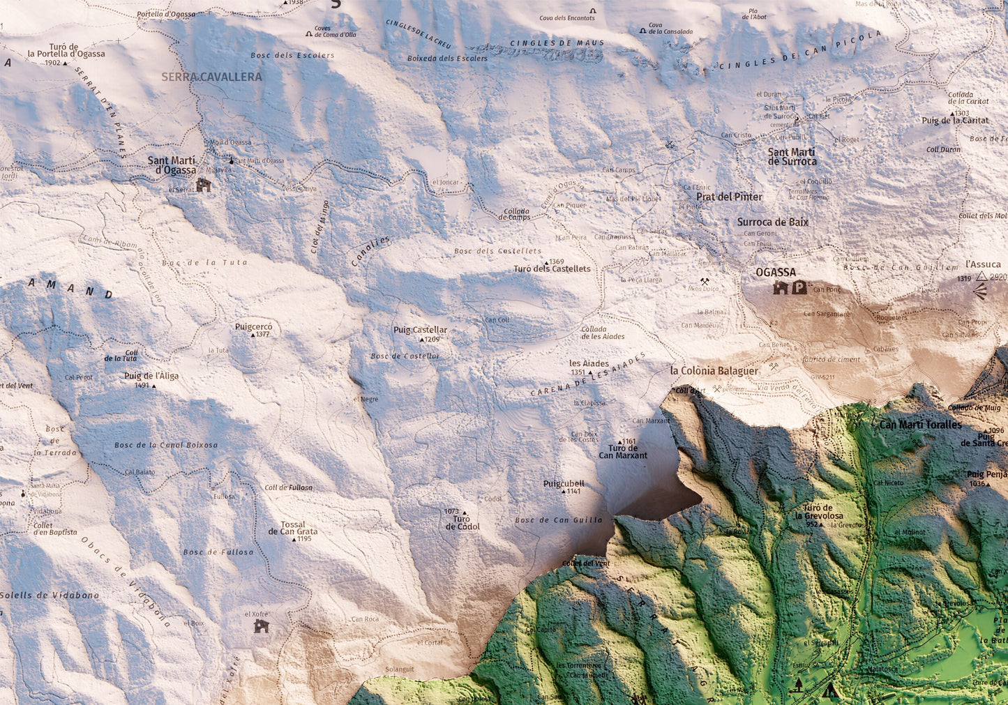 SANT JOAN DE LES ABADESSES. Mapa topográfico.