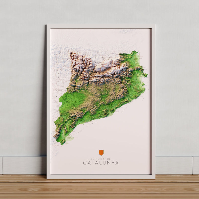 PRINCIPAT DE CATALUNYA I CATALUNYA NORD. Mapa topogràfic vertical