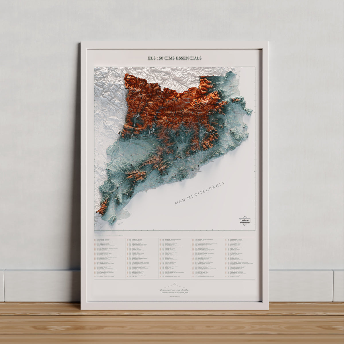 Làmina dels 150 cims essencials, blau i taronja, en un marc clar recolzat sobre fusta. Marc no inclòs.