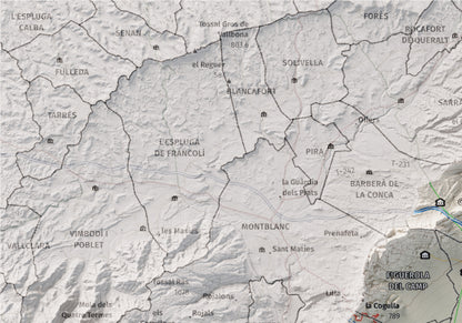 Mapa de relleu de l’Alt Camp, amb el territori en color i l’entorn en blanc. Detall de la part superior esquerra. 21 × 30 cm. Estil Cartogràfic.